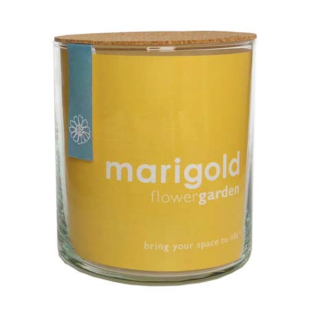 Indoor Marigold Flower Garden