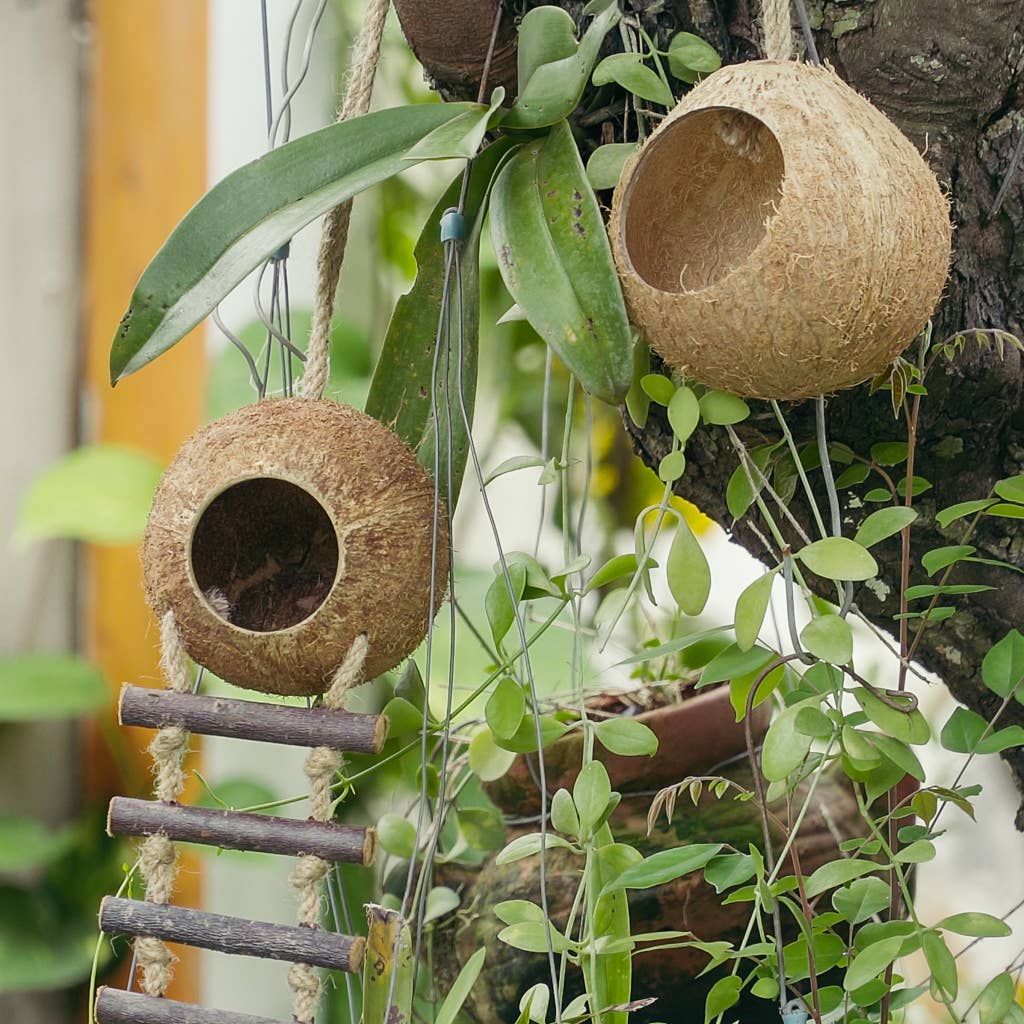 Coconut Birdhouse