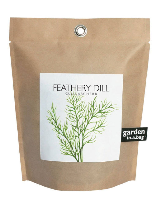 Garden in a Bag | Feathery Dill