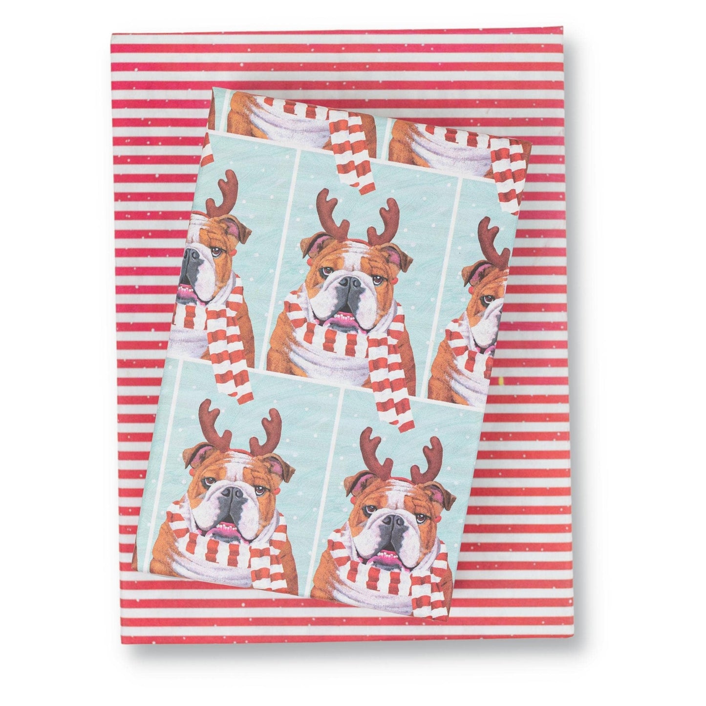 Double-sided Eco Wrapping Paper (Cozy Bulldog)