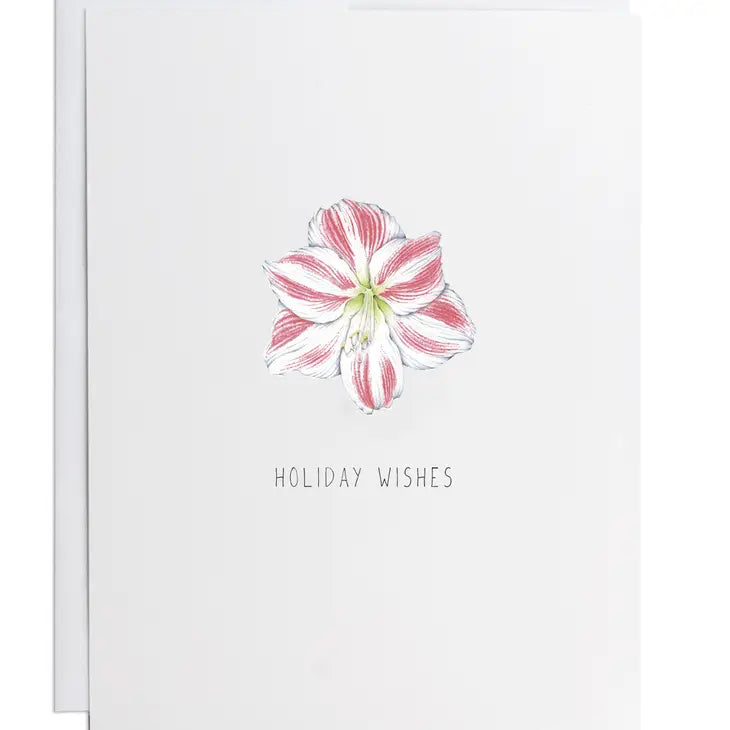 Boxed Set of Christmas Flower Cards