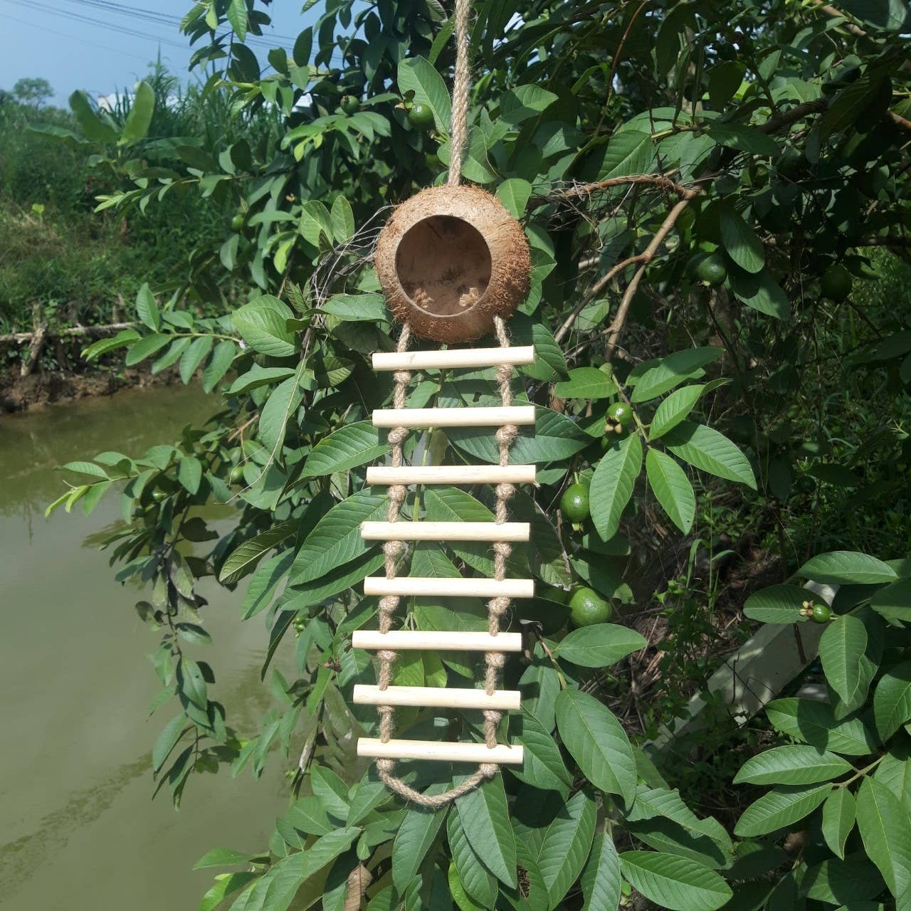 Coconut Birdhouse