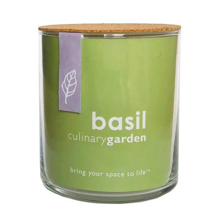 Indoor Basil Culinary Garden