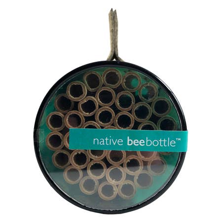 Native Bee Bottle Front View
