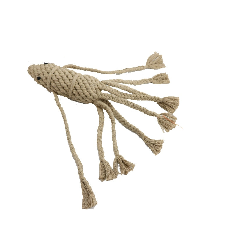one octopus rope toy