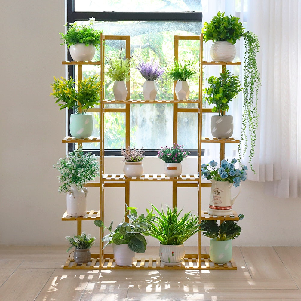 Bamboo stand with plants in sunlight
