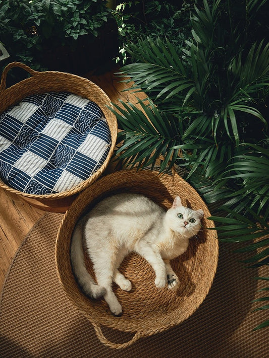 Cat in rattan bed next to rattan bed with mat