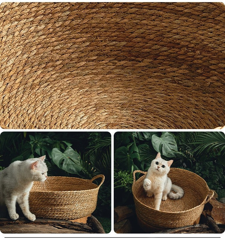 close up of inside rattan bed and cats in beds